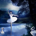 swan n ballet at lake