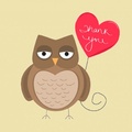 owl thank you