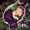 Sweet Purple Baby