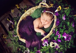 Sweet Purple Baby