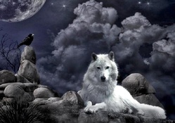White Wolf~Black Night