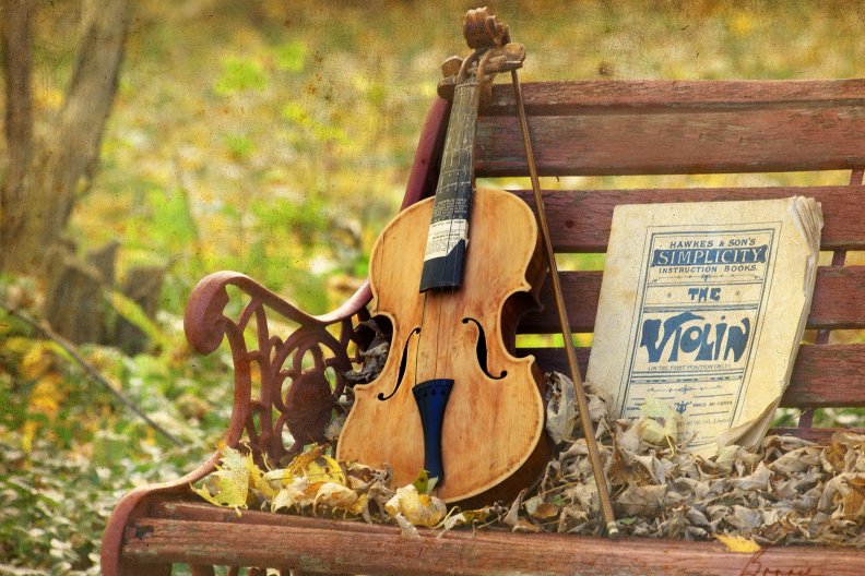 violin.jpg