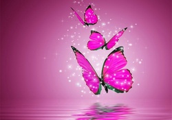 Sparkle Flutter Pink