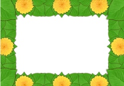 Daffodil frame