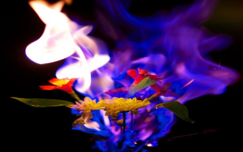 smoke_and_flowers.jpg