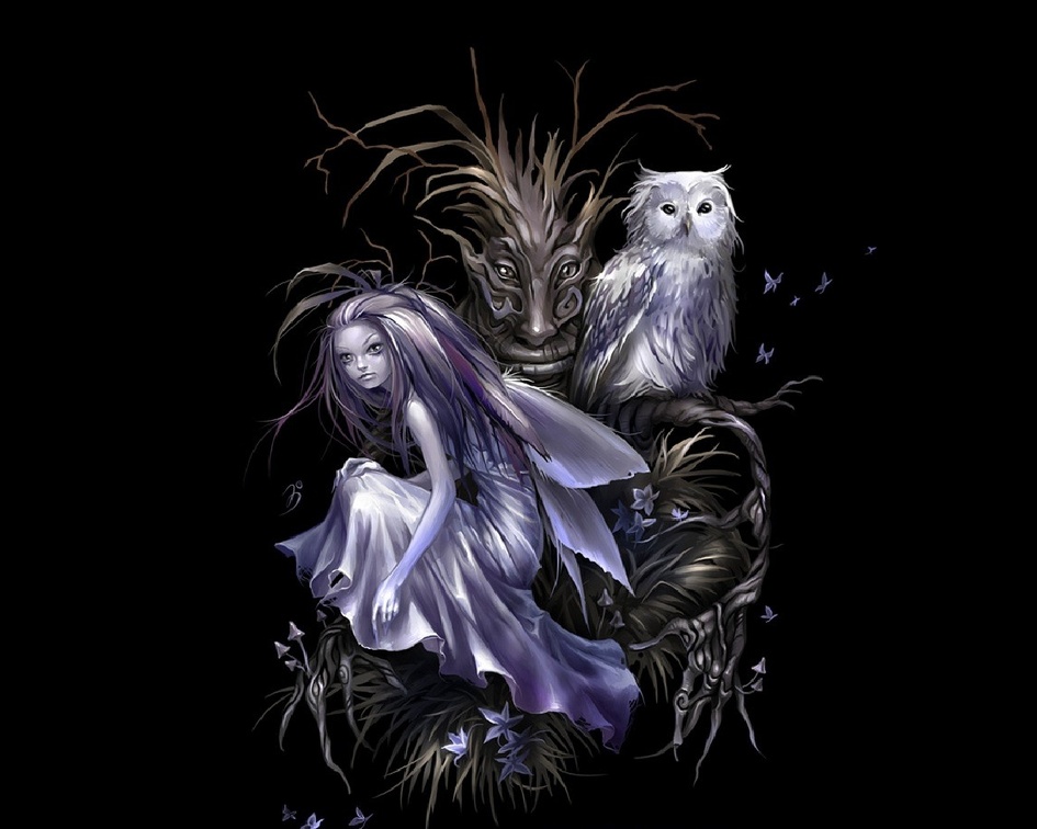 Fairy And Owl