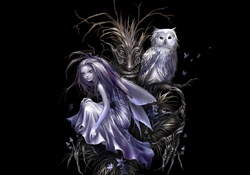 Fairy And Owl