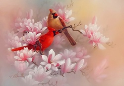 Painted cardinals