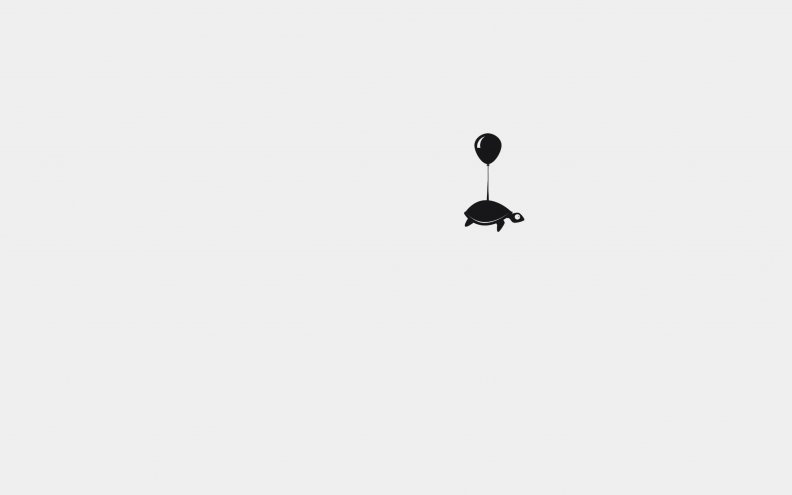 Turtle Floating Away