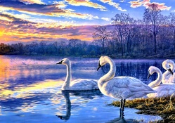 SWANS AT THE SUNSET