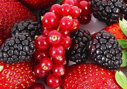 Berries_Strawberries_Raspberries