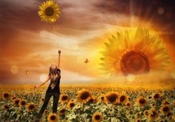 The World Sunflowers