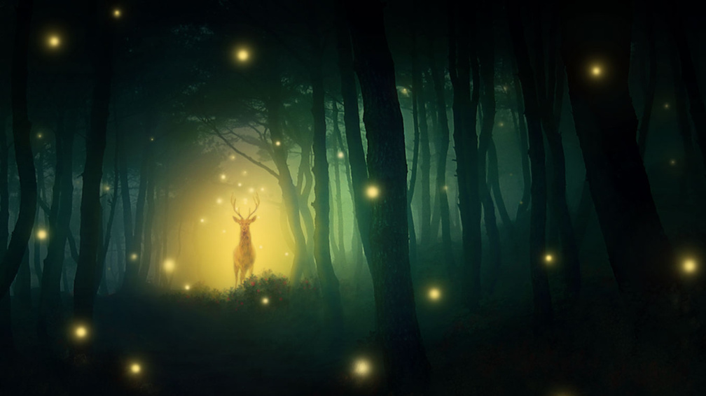 Deer in the Enchanted Forest