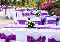 * Purple wedding *