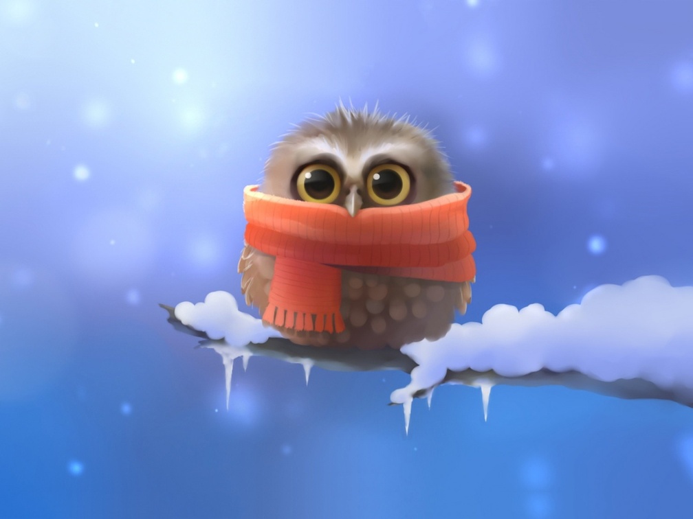Cold Owl