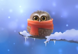 Cold Owl