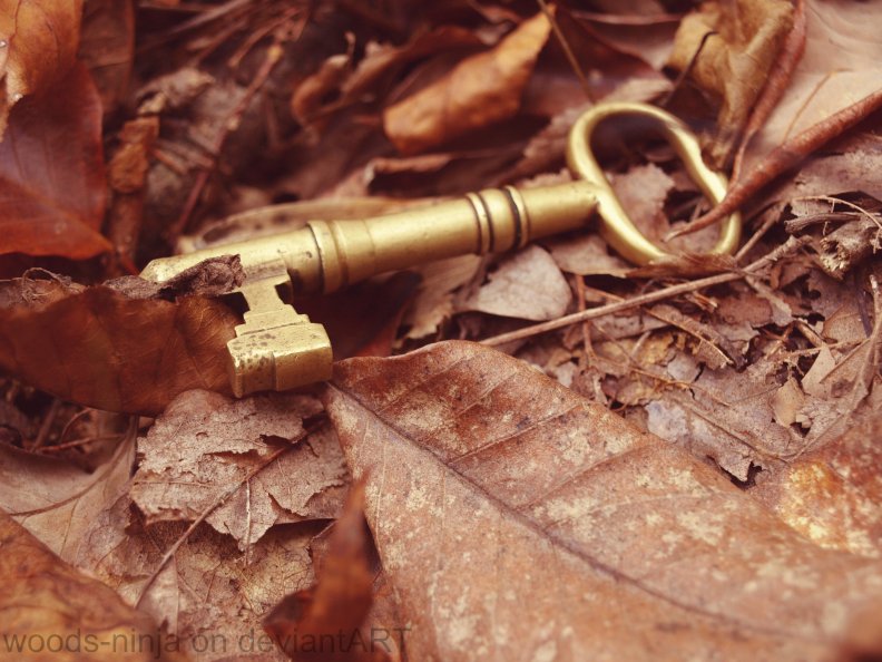 key to Dreams &amp; Forests