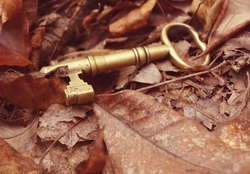 key to Dreams &amp; Forests