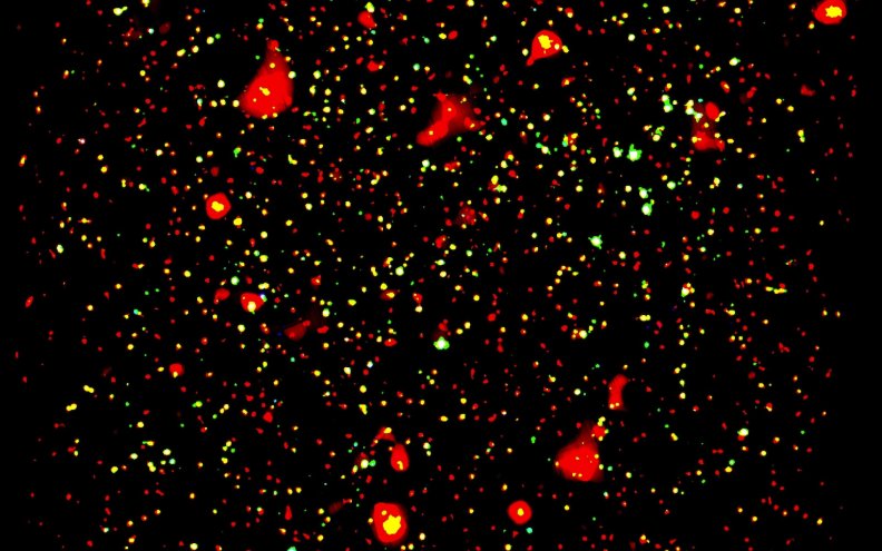 x_ray_view_of_cosmos_field.jpg