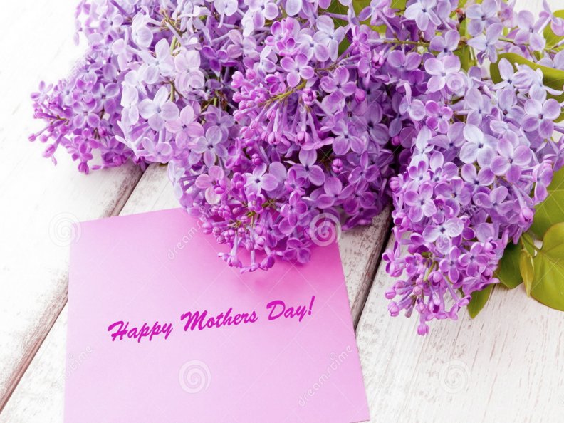 lilac_mothers_day.jpg