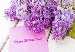 Lilac Mother's day