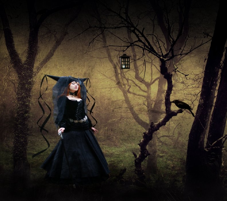 Witch In The Woods