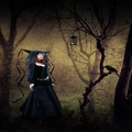Witch In The Woods