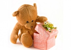 Teddy Bear Gift ♥