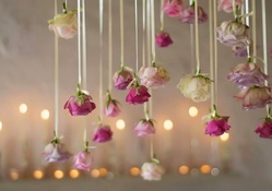 •✿• Hanging romantic roses •✿•