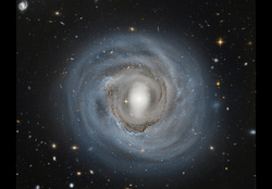 NGC4921,Colombari