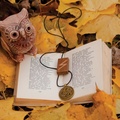 Wise Owl & A Good Book