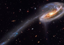 Bright Nebula in Starry Space