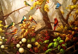 Paradise birds