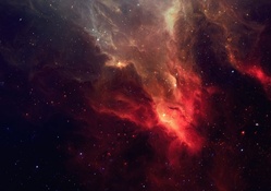 Stunning Starry Nebula