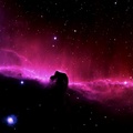 Nebula Horse Head