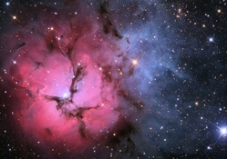 Amazing Trifid Nebula