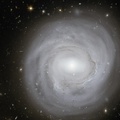 Hubble image of spiral galaxy NGC4921