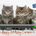 ♥ Happy Birthday Carmen (mbonilla) ♥