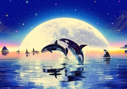 ★Killer Whales in Moonlight★