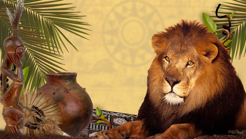 lion_of_africa.jpg