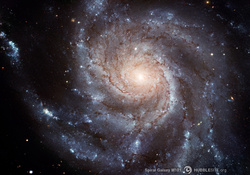Spiral_Galaxy