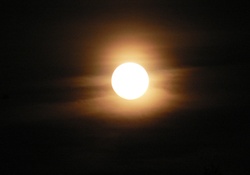 moon light