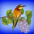 BEE_EATER