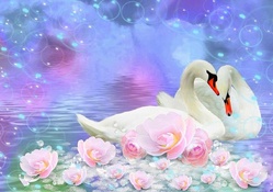 ♥White Swan Lovers♥