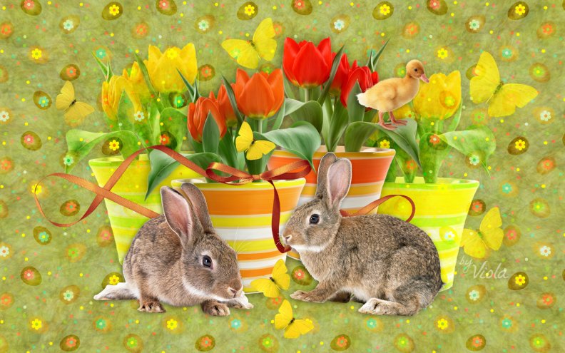 bunnies_and_tulips.jpg