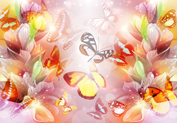 ♥ Butterfly Paradise ♥