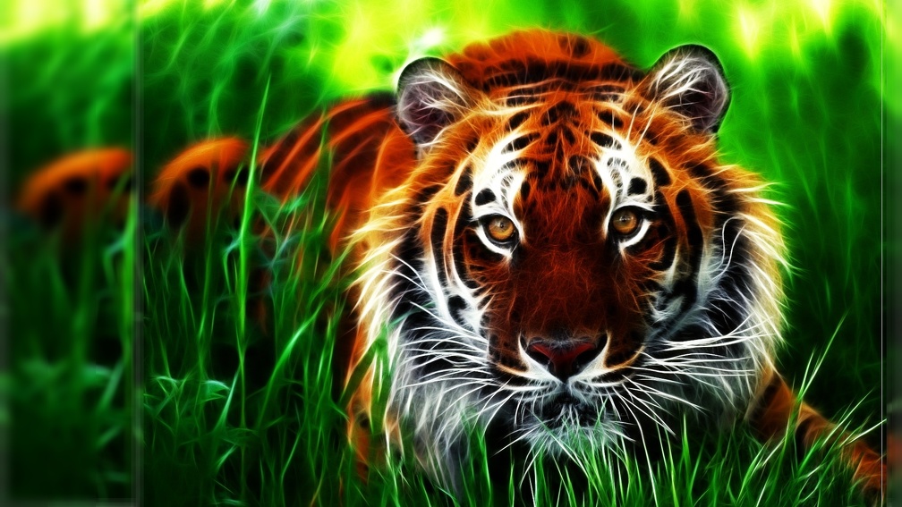 Fractal tiger