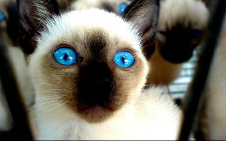 bright blue eyes