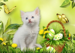 Kittens Easter Spring