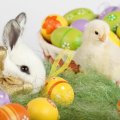 Easter Bunny and Chick